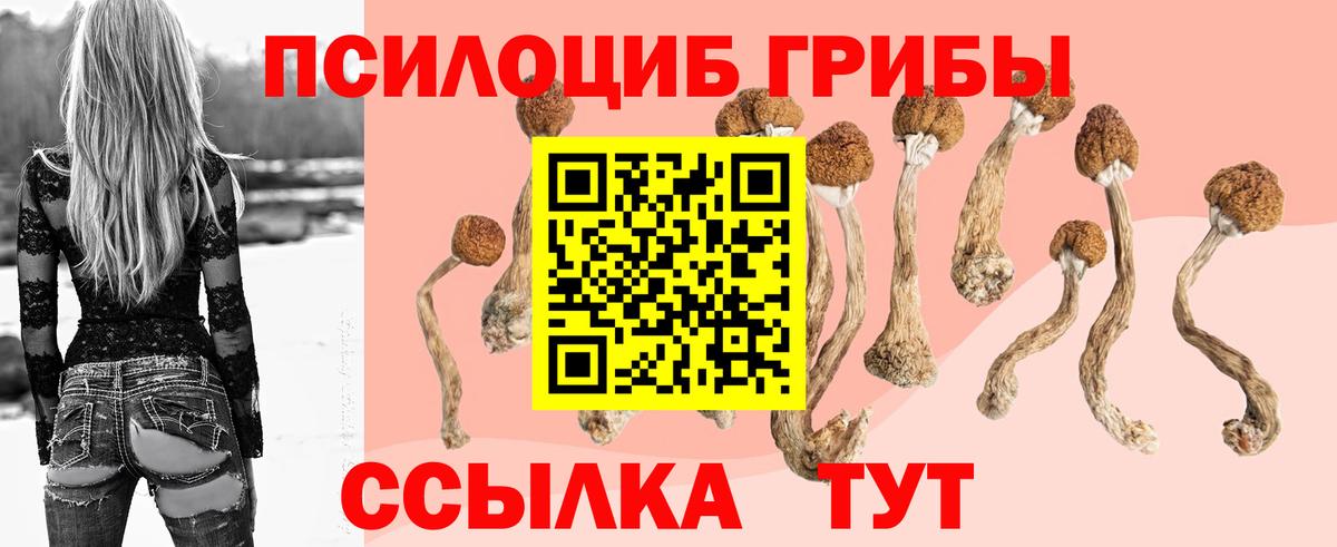 Псилоцибиновые грибы Psilocybine cubensis  Псилоцибиновые грибы мухоморы  Вход с VPN  Жуковский 